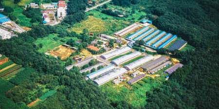 鳩山牧場