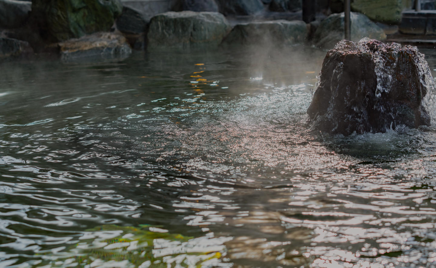 花鳥風月温泉